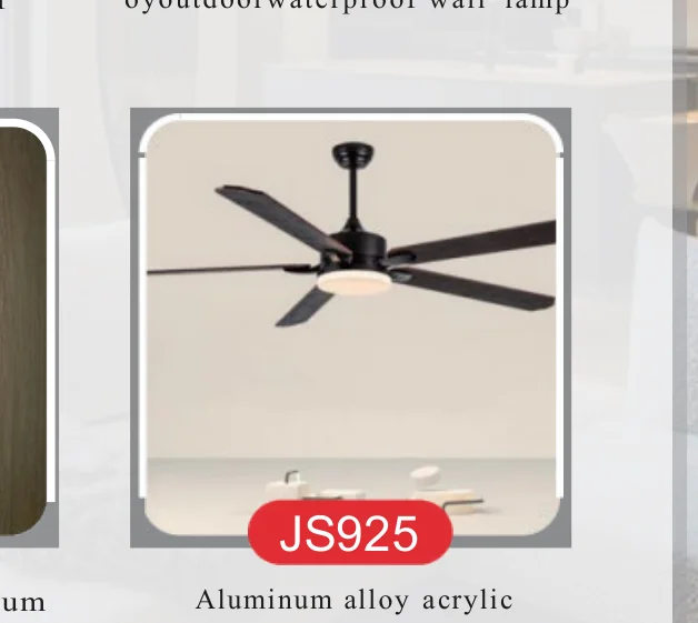 Ceiling Fans